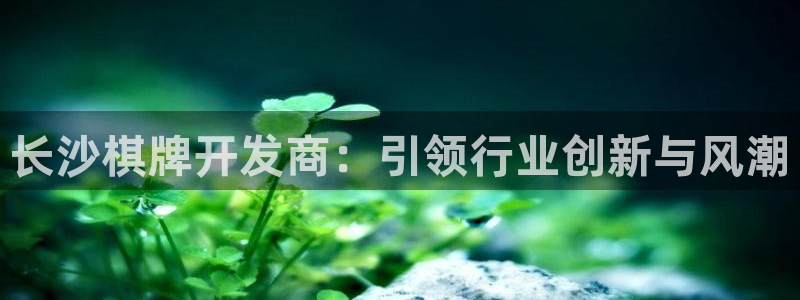 沐鸣2注册登录下载：长沙棋牌开发商：引领行业创新与风潮