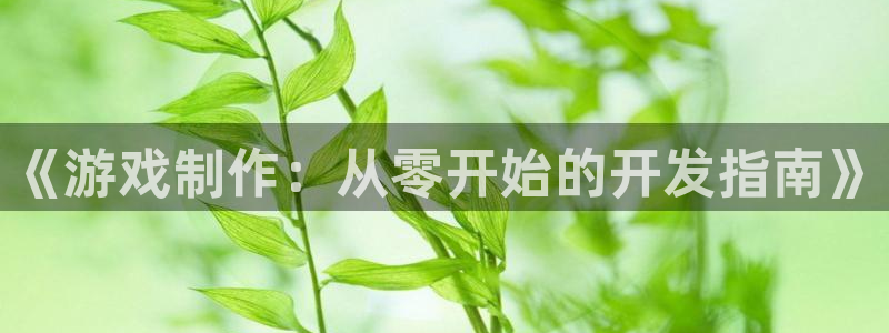 沐鸣娱乐臼44262：《游戏制作：从零开始的开发指南》