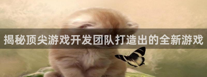 沐鸣2注册平台：揭秘顶尖游戏开发团队打造出的全新游戏